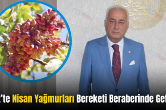 Siirt’te Nisan Yağmurları Bereketi Beraberinde Getirdi