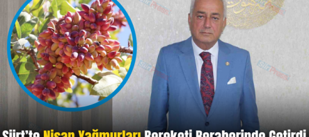 Siirt’te Nisan Yağmurları Bereketi Beraberinde Getirdi
