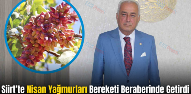Siirt’te Nisan Yağmurları Bereketi Beraberinde Getirdi