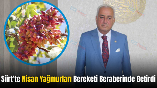 Siirt’te Nisan Yağmurları Bereketi Beraberinde Getirdi