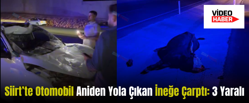 Siirt’te Otomobil Aniden Yola Çıkan İneğe Çarptı: 3 Yaralı