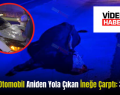 Siirt’te Otomobil Aniden Yola Çıkan İneğe Çarptı: 3 Yaralı