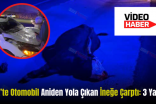 Siirt’te Otomobil Aniden Yola Çıkan İneğe Çarptı: 3 Yaralı