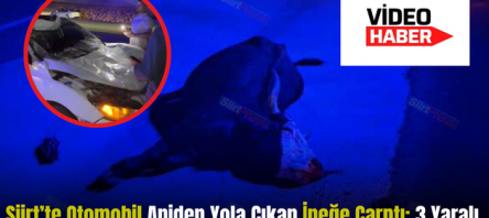 Siirt’te Otomobil Aniden Yola Çıkan İneğe Çarptı: 3 Yaralı