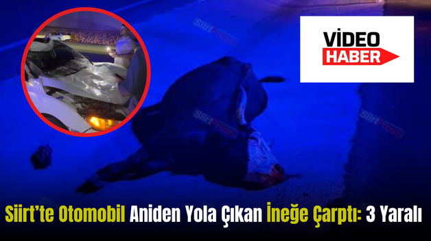 Siirt’te Otomobil Aniden Yola Çıkan İneğe Çarptı: 3 Yaralı