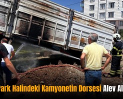 Siirt’te Park Halindeki Kamyonetin Dorsesi Alev Alev Yandı