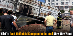 Siirt’te Park Halindeki Kamyonetin Dorsesi Alev Alev Yandı
