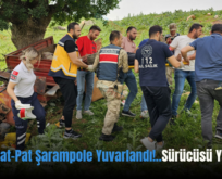 Siirt’te Pat-Pat Şarampole Yuvarlandı!.. Sürücüsü Yaralandı