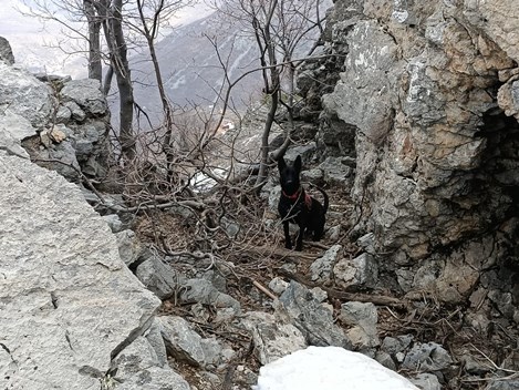 SİİRT’TE PKK’YA AİT 2 EYP BULUNDU