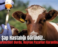 Siirt’te Şap Hastalığı Görüldü!.. Hayvan Hareketleri Durdu, Hayvan Pazarları Karantinaya Alındı