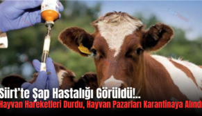 Siirt’te Şap Hastalığı Görüldü!.. Hayvan Hareketleri Durdu, Hayvan Pazarları Karantinaya Alındı