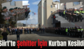 Siirt’te Şehitler İçin Kurban Kesildi