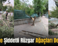 Siirt’te Şiddetli Rüzgar Ağaçları Devirdi