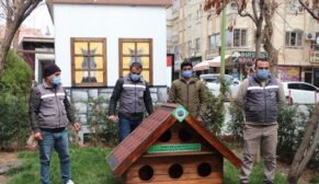 SİİRT’TE SOKAK KEDİLERİ İÇİN KORUNAKLI BARINAKLAR YAPILDI