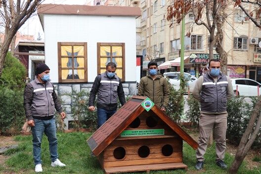 Siirt Belediyesi, sokak kedilerinin kış şartlarından etkilenmeden yaşamlarını sürdürebilmeleri için