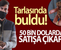 TARLASINDA BULDU! 50 BİN DOLARA SATIŞA ÇIKARDI