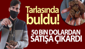 TARLASINDA BULDU! 50 BİN DOLARA SATIŞA ÇIKARDI