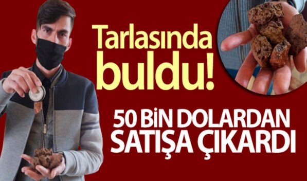 Siirt’te tarlasında ekin yaptığı sırada taş bulan ve bunların göktaşı