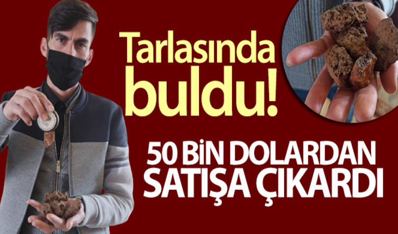 TARLASINDA BULDU! 50 BİN DOLARA SATIŞA ÇIKARDI