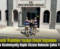 Siirt’te Terör Örgütüne Yardım Etmek Suçundan Hakkında Kesinleşmiş Hapis Cezası Bulunan Şahıs Yakalandı