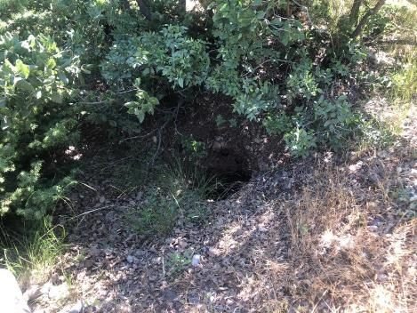 Siirt’in Baykan ilçesinde düzenlenen operasyonda 2 terörist etkisiz hale getirildi.