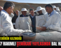 SİİRT’TE TERÖRÜN KAZINDIĞI 2 BİN 47 RAKIMLI ÇEMİKARİ YAYLASINDA BAL HASADI!..