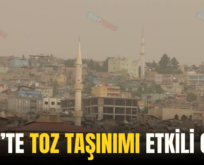 SİİRT’TE TOZ TAŞINIMI ETKİLİ OLDU