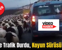 Siirt’te Trafik Durdu, Koyun Sürüsü Geçti