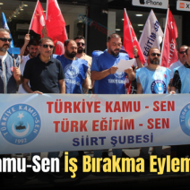 Siirt’te Kamu-Sen İş Bırakma Eylemi Başlattı