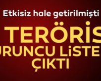 BAYKAN’DA ÖLDÜRÜLEN O TERÖRİST TURUNCU LİSTEDE ARANIYORDU!…