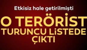 BAYKAN’DA ÖLDÜRÜLEN O TERÖRİST TURUNCU LİSTEDE ARANIYORDU!…