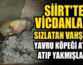 ALLAH’TAN KORKMAZLAR YAVRU KÖPEĞİ TANDIRA ATIP YAKMIŞLAR…