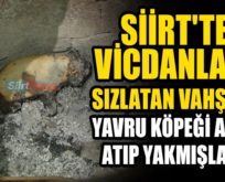 ALLAH’TAN KORKMAZLAR YAVRU KÖPEĞİ TANDIRA ATIP YAKMIŞLAR…