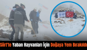 Siirt’te Yaban Hayvanları İçin Doğaya Yem Bırakıldı