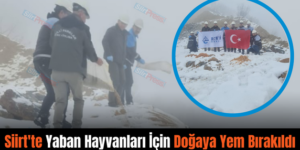 Siirt’te Yaban Hayvanları İçin Doğaya Yem Bırakıldı