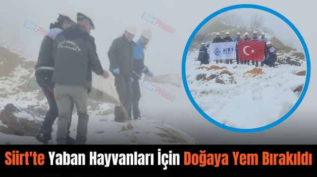 Siirt’te Yaban Hayvanları İçin Doğaya Yem Bırakıldı