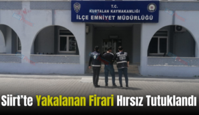 Siirt’te Yakalanan Firari Hırsız Tutuklandı