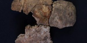 SİİRT’TE 5 BİN YIL ÖNCE KURBAN EDİLEN ÇOCUKLARIN KALINTILARI BULUNDU