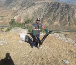 Siirt’te duyarlı bir vatandaşın yaralı kartalı yetkililere bildirmesi üzerine 1