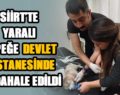 YARALI KÖPEĞE DEVLET HASTANESİNDE MÜDAHALE EDİLDİ