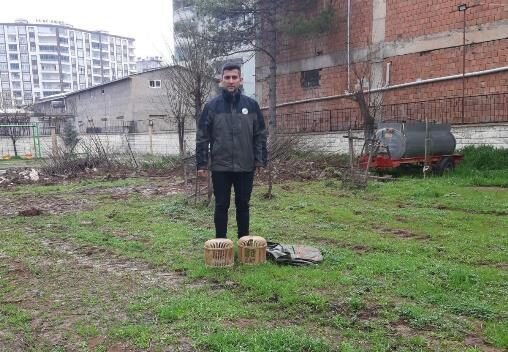Siirt’te av yasağını bildiği halde canlı keklik avlayan kişi suçüstü
