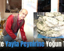 Siirt’te Yayla Peynirine Yoğun Talep