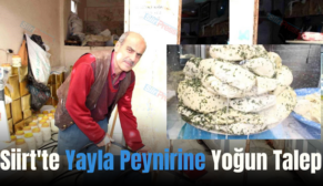 Siirt’te Yayla Peynirine Yoğun Talep