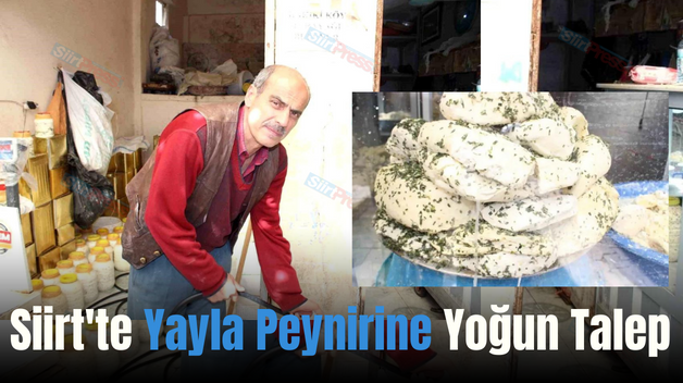 Siirt’te Yayla Peynirine Yoğun Talep