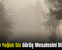 Siirt’te Yoğun Sis Görüş Mesafesini Düşürdü