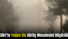 Siirt’te Yoğun Sis Görüş Mesafesini Düşürdü