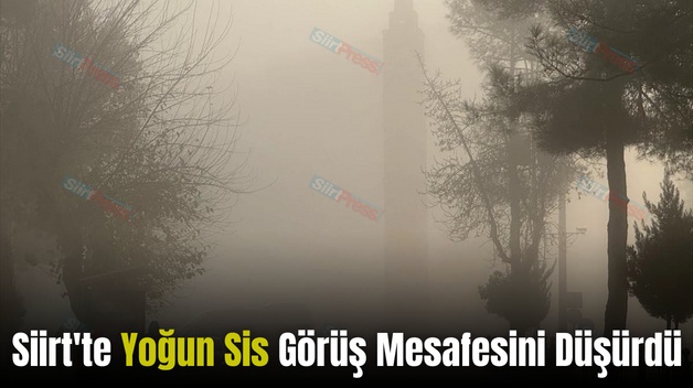 Siirt’te Yoğun Sis Görüş Mesafesini Düşürdü