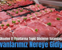 Siirt’te Yükselen Et Fiyatlarına Tepki Gösteren Vatandaşlar: “Hayvanlarımız Nereye Gidiyor!”