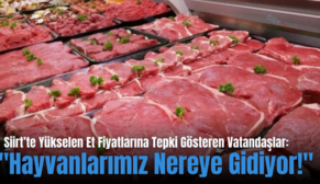 Siirt’te Yükselen Et Fiyatlarına Tepki Gösteren Vatandaşlar: “Hayvanlarımız Nereye Gidiyor!”