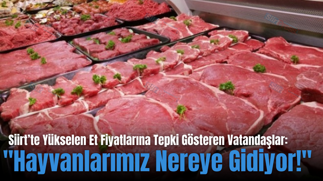 Siirt’te Yükselen Et Fiyatlarına Tepki Gösteren Vatandaşlar: “Hayvanlarımız Nereye Gidiyor!”